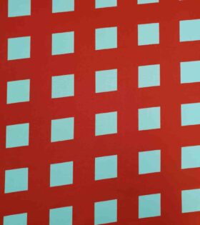 Printed Mini-Matt - Blocks - Red & White