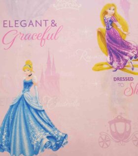 Character Sheeting - Cinderella