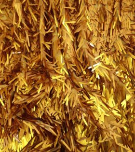 Loose Hair Sequins - Gold