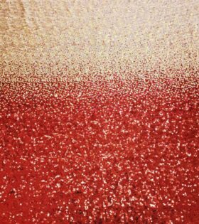 Ombre Sequins - Red
