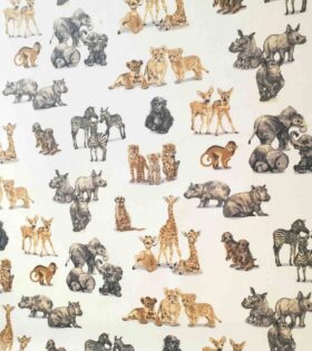 Kids Safari - Animals