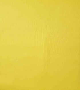 Oxford Nylon Canvas - Yellow