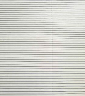 Plus Point Shirting - Stripes 1