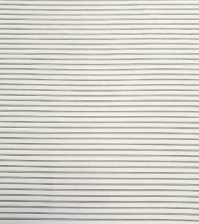 Plus Point Shirting - Stripes 2