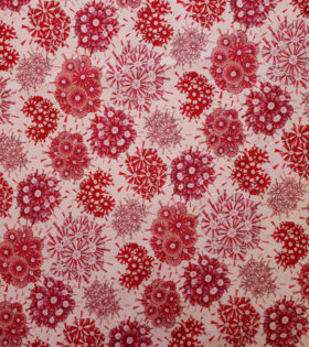 Printed Denim - Floral