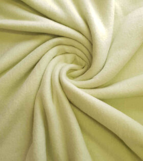 Polar Fleece - Mint