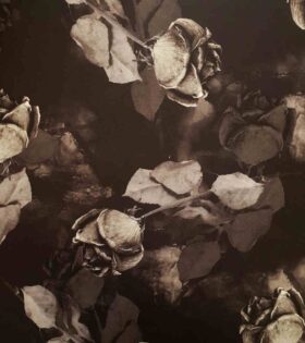 Printed Scuba - Roses