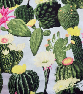 Printed Sheeting - Succulents - Off White