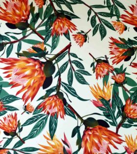 Printed Mini-Matt - Protea - White