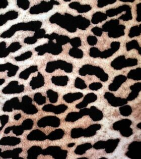 Printed Scuba Crepe - Liverpool - Animal Print