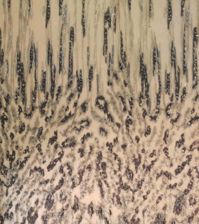 Imported Evening Tulle 11075-180 - Charcoal