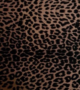 Printed Maserati - Leopard Print - Toast