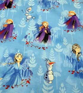 Character Sheeting - Frozen