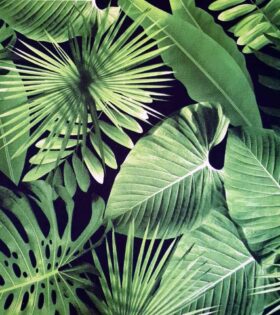 Printed Mini-Matt - Tropical - Black