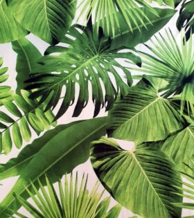 Printed Mini-Matt - Tropical - White