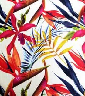 Rpet Eco-Friendly Canvas - Strelitzia Summer