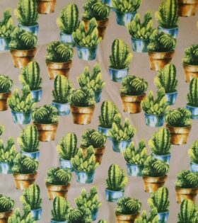 Printed Mini-Matt - Succulents - Stone