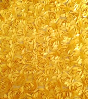 Satin Rose Cut - Gold