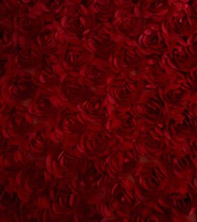 Satin Rose Cut - Maroon