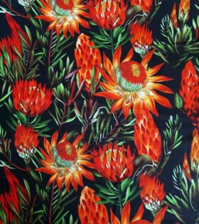 Printed Mini-Matt - Aloe - Black
