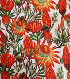 Printed Mini-Matt - Aloe - White