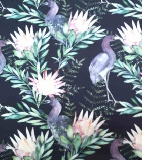 150cm Cotton Canvas - Proteas & Birds