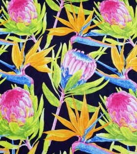 Printed Mini-Matt - Proteas - Black