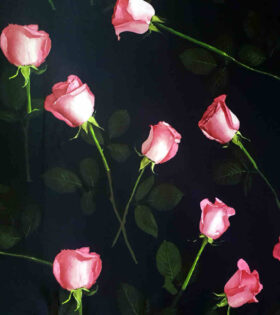 Digital Printed Duchess Satin - Roses