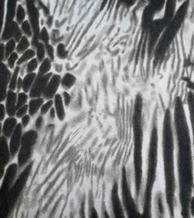 Printed Chiffon - 277