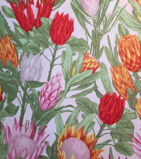 Printed Mini-Matt - Protea - White
