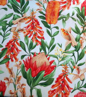 Printed Mini-Matt - Protea - White