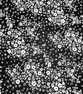 Printed Bubble Crepe - Floral - Black