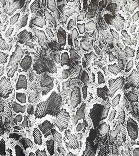 Digital Printed Duchess Satin - Snake Print