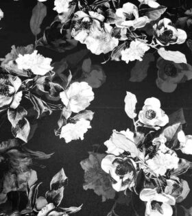 Printed DTY - Floral - Black