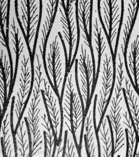 Leaf Sugar Metallic Tulle - Black
