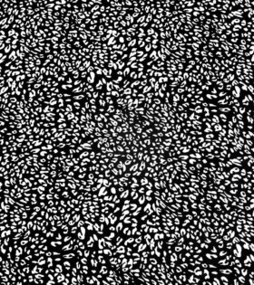Printed Satin Flow - Abstract - Black