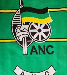 Printed Poly Cotton - Green - ANC