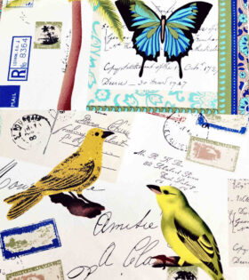 Printed Mini-Matt - Birds and Butterflies - Ivory