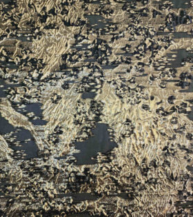 Organdy Brocade - Black
