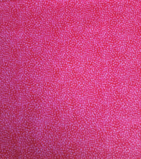 Fabulously Fruity Cotton - 9