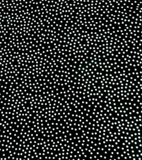 Printed Modena Linen - Black