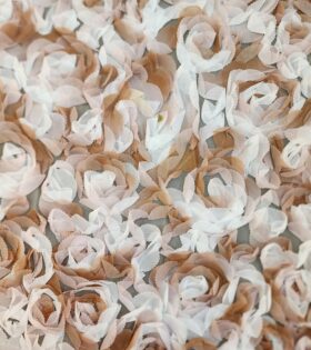 Ribbon Rose Chiffon - Cream