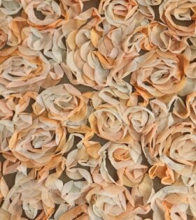 Ribbon Rose Chiffon - Nude
