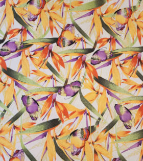 Printed Mini-Matt - Strelitzia - White