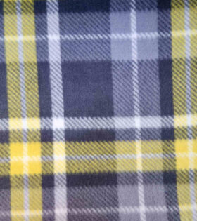 Polar Fleece - Check