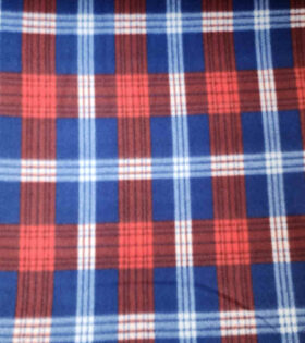Polar Fleece - Check