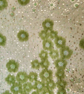 Rosa Beaded Tulle - Mint