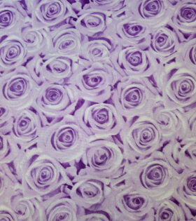 Printed Mini-Matt - Roses - Lilac