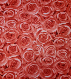 Printed Mini-Matt - Roses - Red
