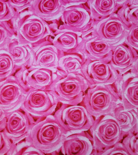 Printed Mini-Matt - Roses - Cerise Pink